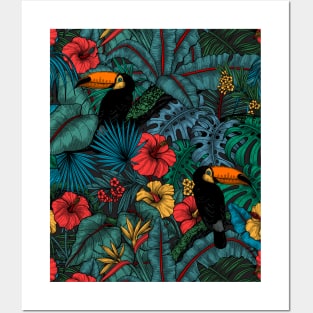 Toucan garden Posters and Art